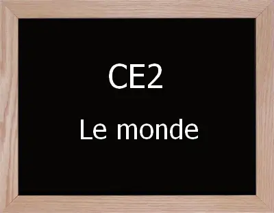 Ce mone chanel Types of