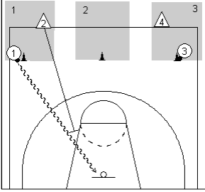 Basket 11