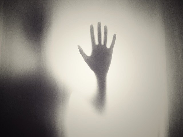 La chasse aux ombres