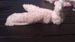 Lapin étape 3