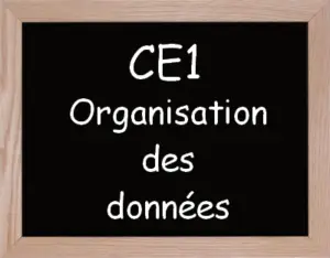 Organisation Des Données Ce1