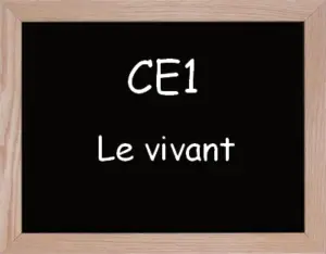 Le Vivant Ce1