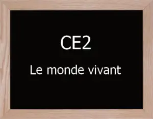 Le Vivant Ce2