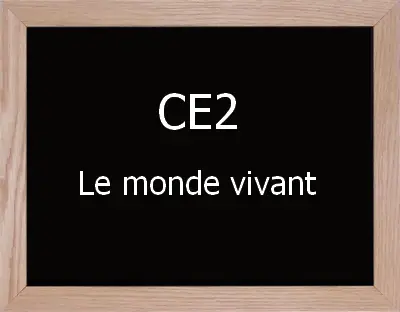 Activite Le Vivant Ce2 Trouver Votre Activite Sur Le Vivant Pour Ce2