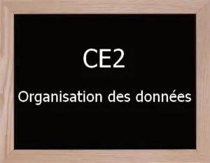 Organisation Des Données Ce2