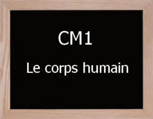 Corps Humain Cm1