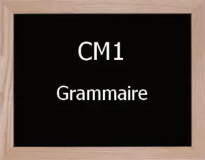 Grammaire Cm1