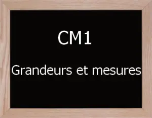 Grandeurs Et Mesures Cm1