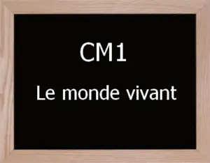 Le Vivant Cm1