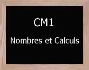 Calculs Cm1