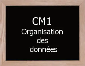 Organisation Des Données Cm1
