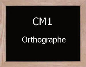 Orthographe Cm1