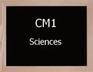 Sciences Cm1
