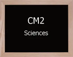 Sciences Cm2