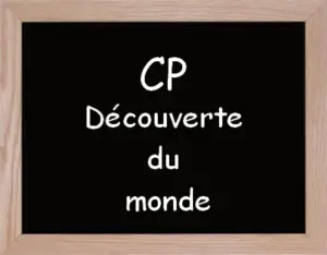 Questionner Le Monde Cp