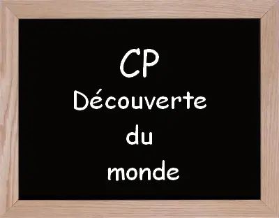 Activite Questionner Le Monde Cp Trouver Une Activite Pour Cp Activite Questionner Le Monde Cp Trouver Une Activite Pour Cp