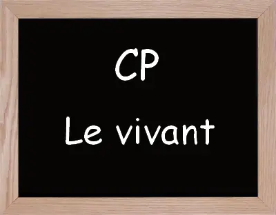 Activite Le Vivant Cp Trouver Votre Activite Sur Le Vivant Pour Cp Activite Le Vivant Cp Trouver Votre Activite Sur Le Vivant Pour Cp