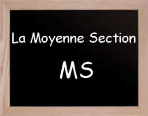 Moyenne Section De Maternelle