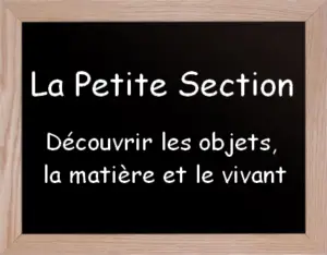 Explorer Le Monde En Petite Section